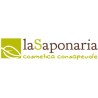 la saponaria